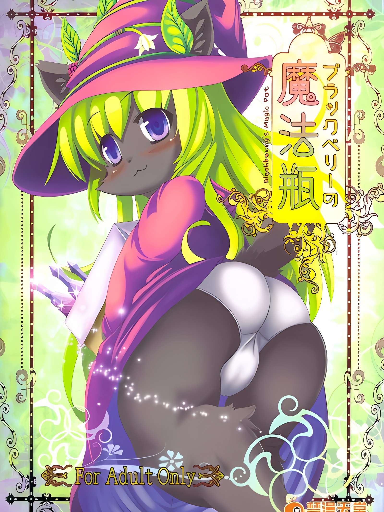 黑莓的魔法瓶