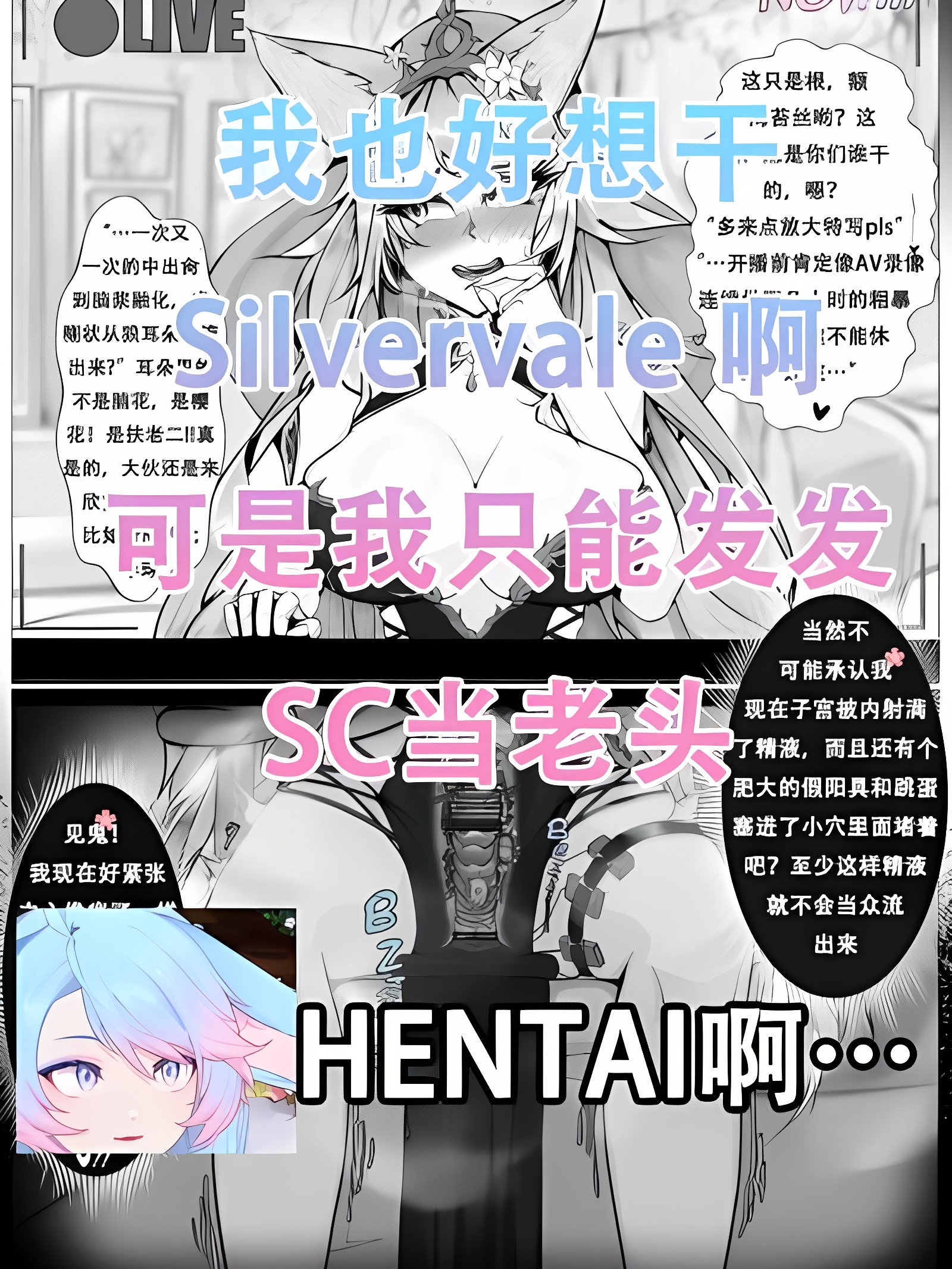 樱花狼灵开播前