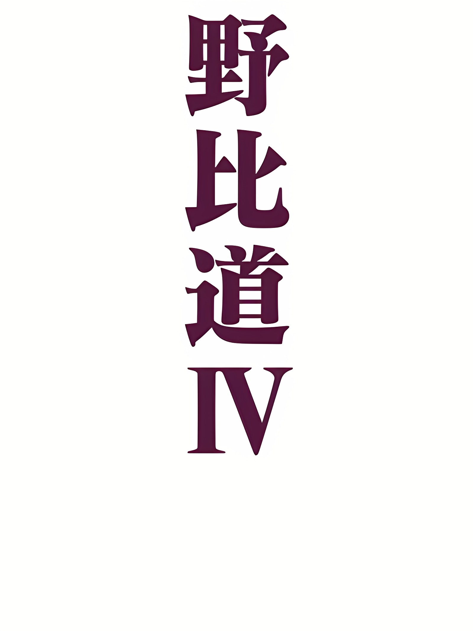 野比道 IV